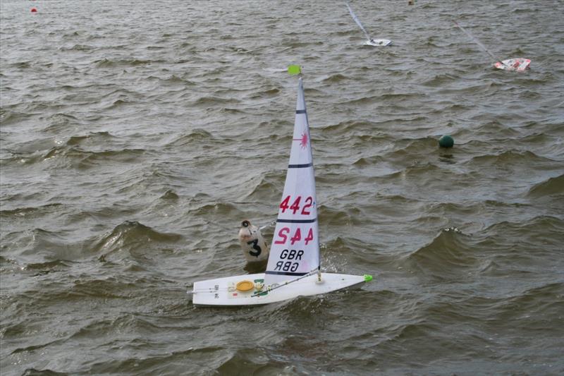 RC Laser TT At Ayr Bay photo copyright Bill Lees taken at  and featuring the RC Laser class