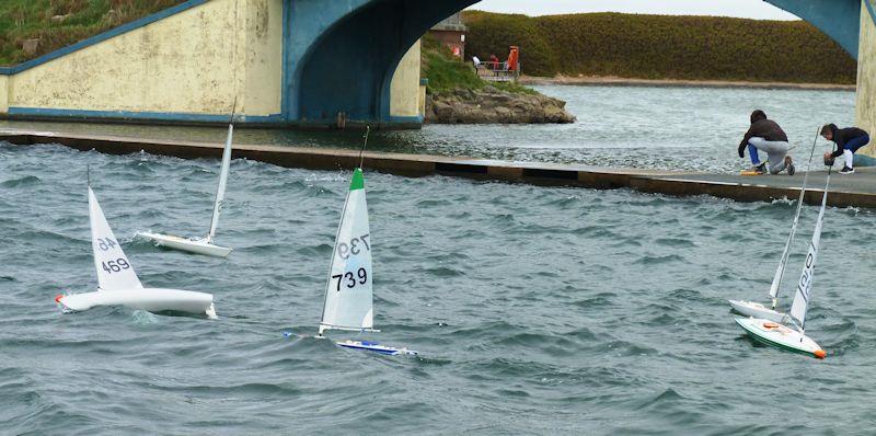 Fleetwood RC Laser Northern Series round 1 sees choppy conditions and 'D' rigs photo copyright www.rclasers.com taken at Fleetwood Model Yacht Club and featuring the RC Laser class