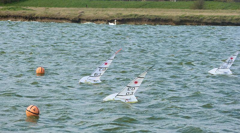 RC Laser Winter Series event 12 at Medway photo copyright Fiona Blair taken at  and featuring the RC Laser class