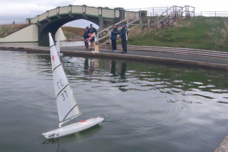 RC Laser club racing at Fleetwood photo copyright Bob Jolly taken at Fleetwood Model Yacht Club and featuring the RC Laser class