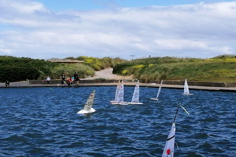 RC Laser Harrowside Trophy at Fleetwood photo copyright Bob Jolly taken at Fleetwood Model Yacht Club and featuring the RC Laser class