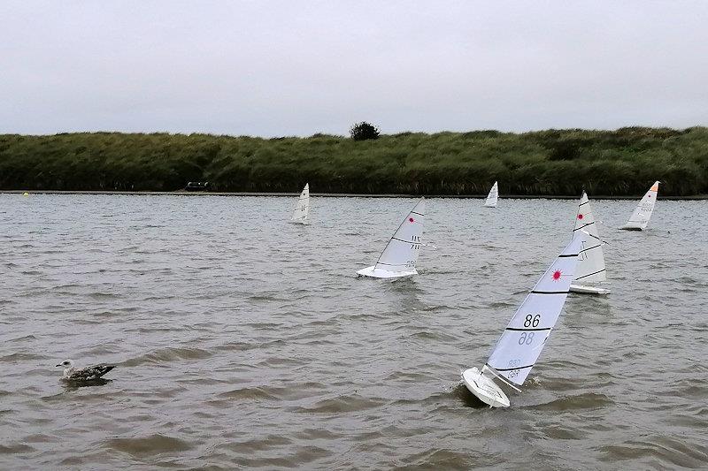 RC Laser Autumn Series 1 and Welch Cup at Fleetwood  - photo © Steve Mattison