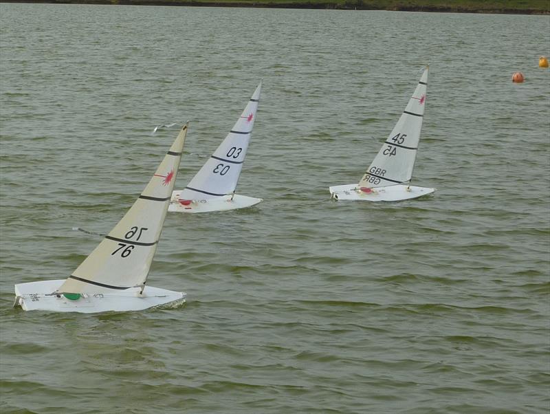 Medway RC Laser Club Winter Series day 12 photo copyright Fiona Blair taken at  and featuring the RC Laser class