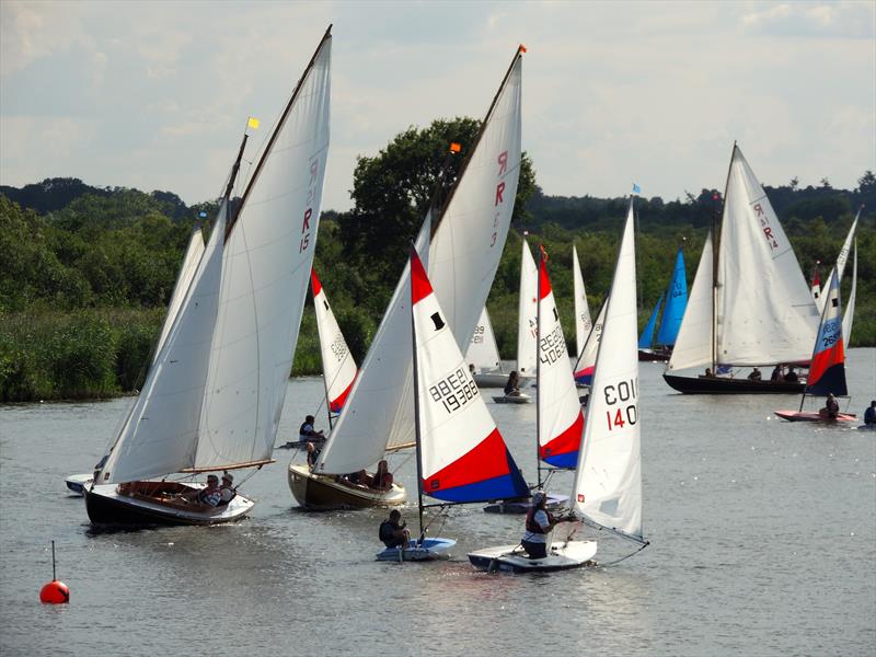 Horning Sailing Club Regatta Week photo copyright Holly Hancock taken at Horning Sailing Club and featuring the Rebel class