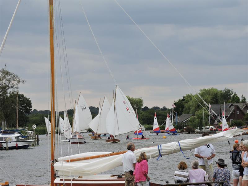 Horning Sailing Club Regatta Week photo copyright Holly Hancock taken at Horning Sailing Club and featuring the Rebel class