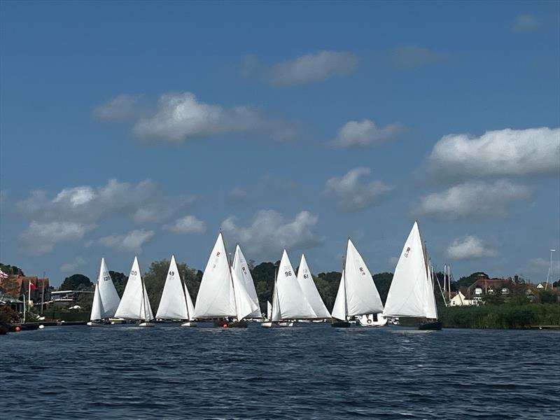 Horning Sailing Club Regatta Week 2024 photo copyright Amy Dunham taken at Horning Sailing Club and featuring the Rebel class