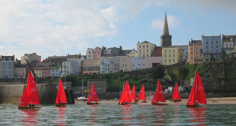 Redwings at Tenby - photo © TSC