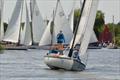 65th Three Rivers Race run by Horning SC on the Norfolk Broads &copy; Holly Hancock