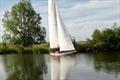 65th Three Rivers Race run by Horning SC on the Norfolk Broads &copy; Holly Hancock