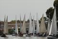 65th Three Rivers Race run by Horning SC on the Norfolk Broads &copy; Holly Hancock