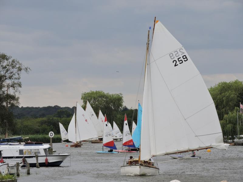 Horning Sailing Club Regatta Week photo copyright Holly Hancock taken at Horning Sailing Club and featuring the River Cruiser class