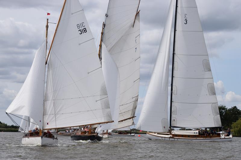 Oulton Week River Cruiser racing during Oulton Week 2019 photo copyright Trish Barnes taken at Waveney & Oulton Broad Yacht Club and featuring the River Cruiser class