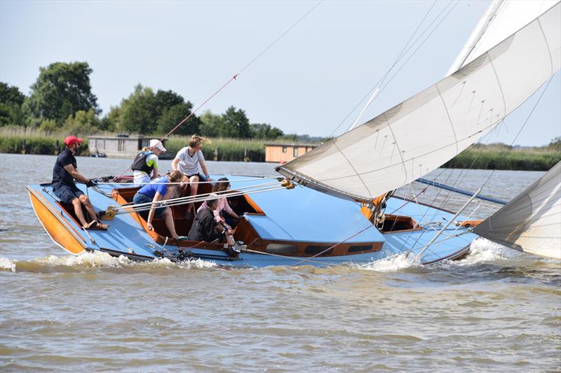 Melanie Farrar's Farthing during Oulton Week 2019 photo copyright Trish Barnes taken at Waveney & Oulton Broad Yacht Club and featuring the River Cruiser class