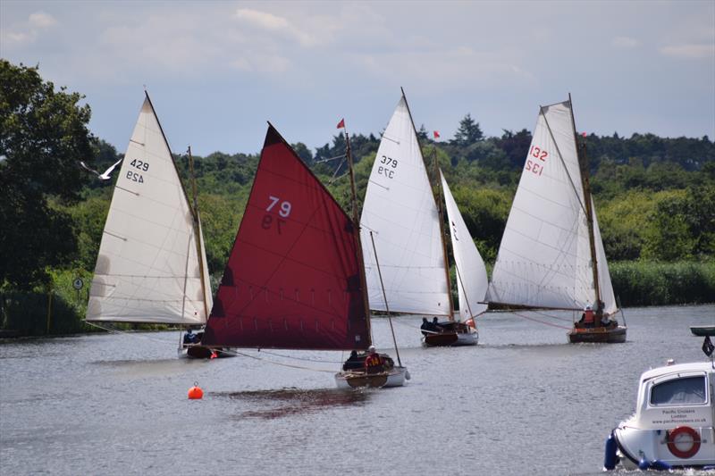 Horning Sailing Club Regatta Week 2021 photo copyright Holly Hancock taken at Horning Sailing Club and featuring the River Cruiser class