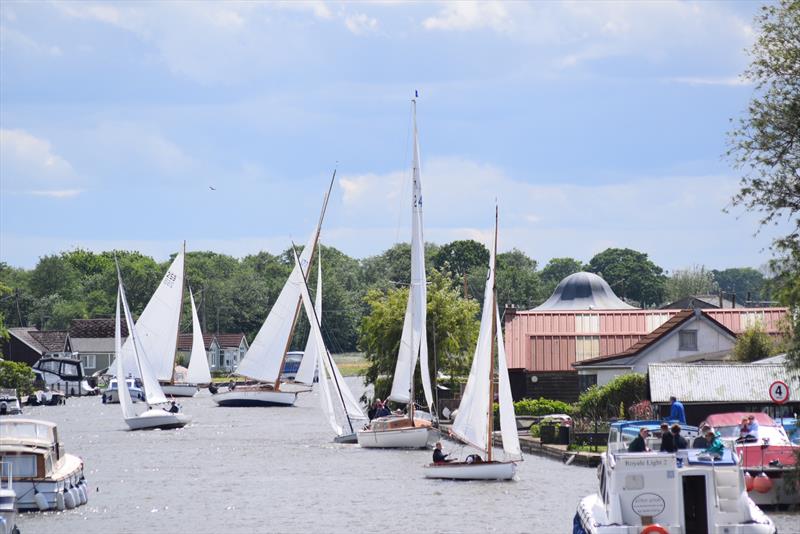 Competitors making their way through the bungalows at Potter Heigham riverbank during the 61st Yachtmaster Insurance Three Rivers Race photo copyright Holly Hancock taken at Horning Sailing Club and featuring the River Cruiser class