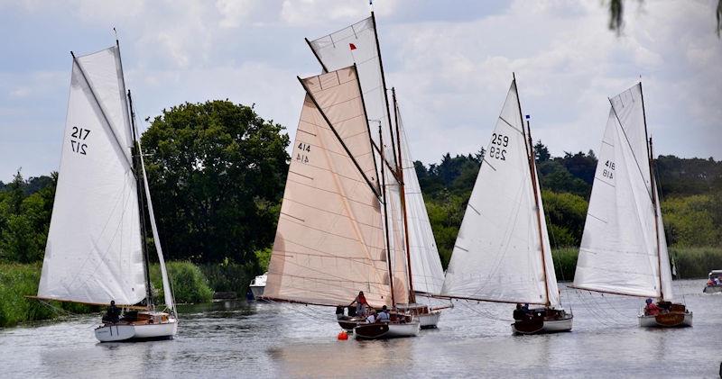 The fast cruisers start during Horning Sailing Club Regatta Week 2022 photo copyright Holly Hancock taken at Horning Sailing Club and featuring the River Cruiser class