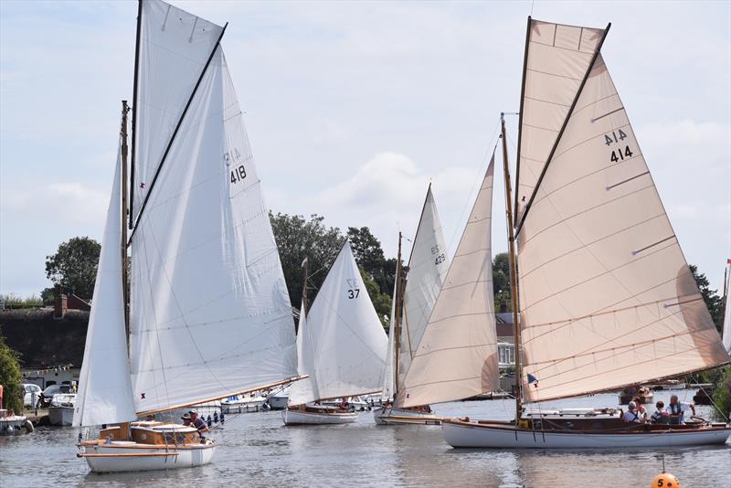 Horning Sailing Club Regatta Week 2024 photo copyright Holly Hancock taken at Horning Sailing Club and featuring the River Cruiser class