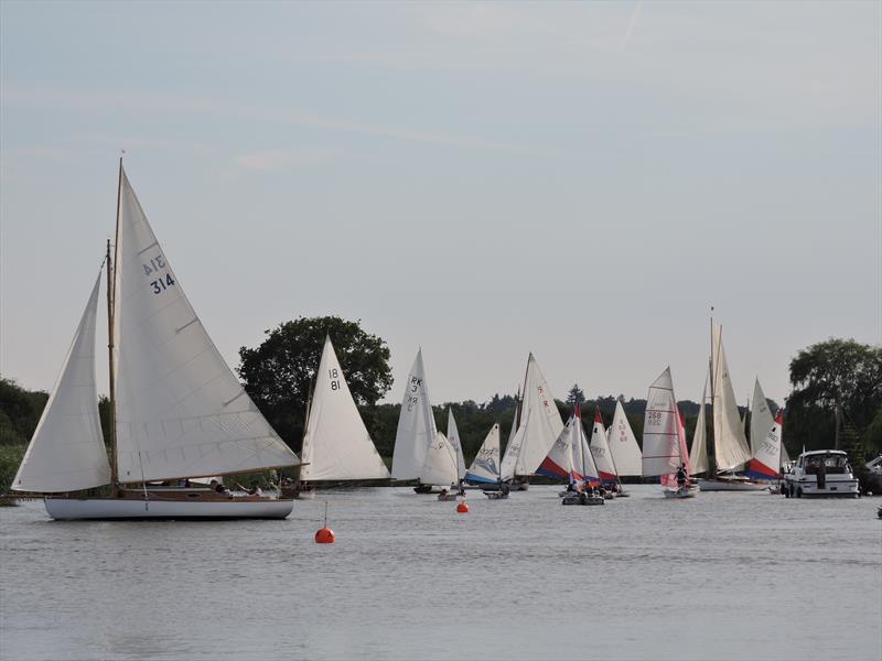 Horning Sailing Club Regatta Week 2024 photo copyright Holly Hancock taken at Horning Sailing Club and featuring the River Cruiser class