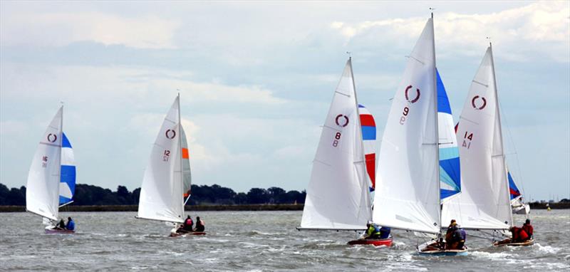 Royal Corinthian One Design Summer Regatta photo copyright Tammy Fisher taken at Royal Corinthian Yacht Club, Burnham and featuring the Royal Corinthian One Design class