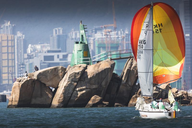 World Maritime Merchants Forum Alma Mater Race 2025 - photo © RHKYC / Luke van der Kamp