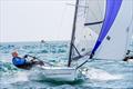 David Smart - POSH Regatta at Paignton &copy; Tom Wildy Photos