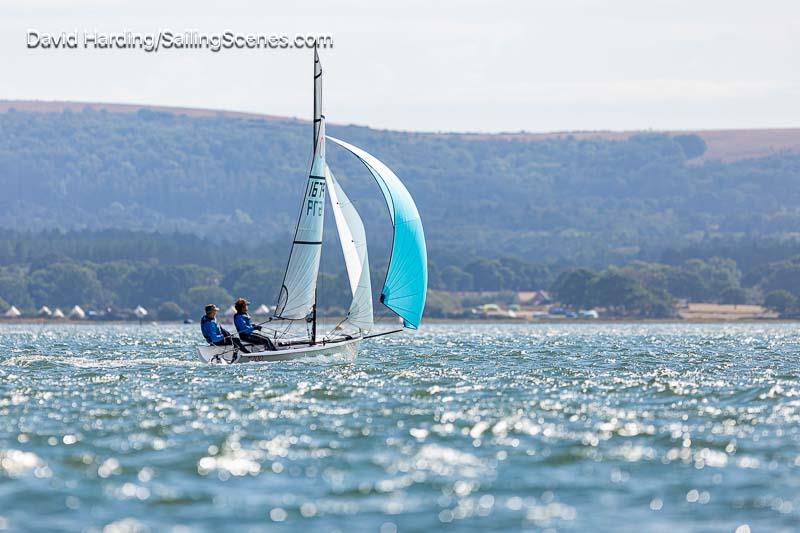 Pointer, RS200, Poole Week 2026, In Association With Haven Knox-Johnston, Day 3 - photo © David Harding / www.sailingscenes.com