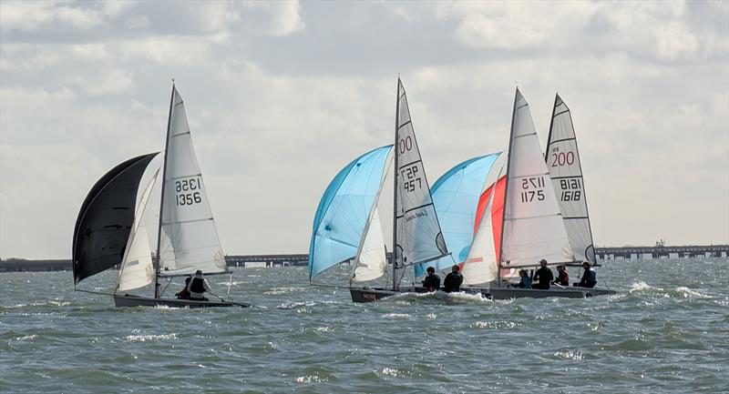 2026 Netley SC RS200 Club Championship - photo © Terry Hunt