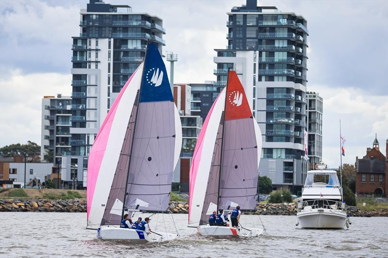 Sailing Champions League AP finals on SailFest Newcastle Day 1 - photo © Salty Dingo