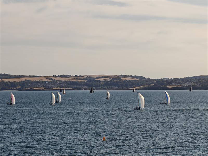 RS21 Nationals at the Torbay Royal Regatta - photo © Paul DuVangon