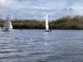 © RS400 Class Association