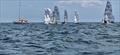 RS400 Eastern Sprint Championship at Greystones © Brendan Ryan