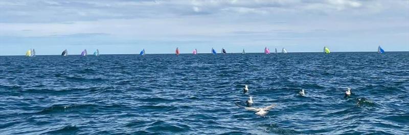 Rope4Boats RS400 Northern Tour at Tynemouth SC photo copyright Andrew Nel and Colin Edgar taken at Tynemouth Sailing Club and featuring the RS400 class