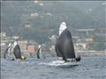 RS100/500 Euro Grand Prix at Genoa, Italy © Jon Partridge