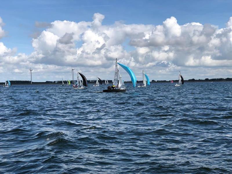 RS500 Dutch National Championships at Aquavitesse in Bruinisse - photo © RS Sailing