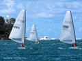 RS Aero New South Wales State Championships at Balmoral SC © Balmoral Sailing Club