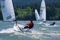 © Bill Symes RS Aero Worlds at Cascade Locks, Oregon day 5 © Bill Symes