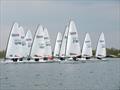 © Island Barn Reservoir Sailing Club