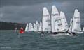 RS Aero 5 & 7 UK National Championship and International Open © Alistair Mackay