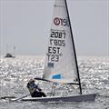 © Marstrand SS RS Aero Youth Worlds at Marstrand, Sweden © Marstrand SS
