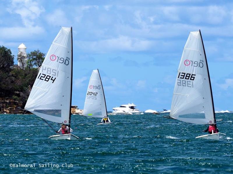 RS Aero New South Wales State Championships at Balmoral SC photo copyright Balmoral Sailing Club taken at Balmoral Sailing Club and featuring the  class