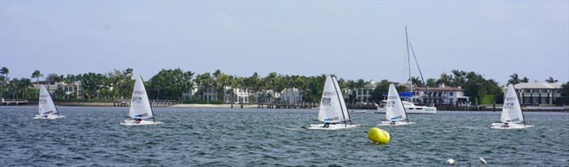 RS Aero North American Midwinters at Palm Beach Sailing Club photo copyright Palm Beach Sailing Club taken at Palm Beach Sailing Club, Florida and featuring the  class