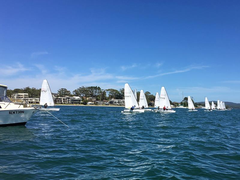 RS Aero National Championship 2018 photo copyright Sailing Raceboats taken at Port Stephens Sailing and Aquatic Club and featuring the  class