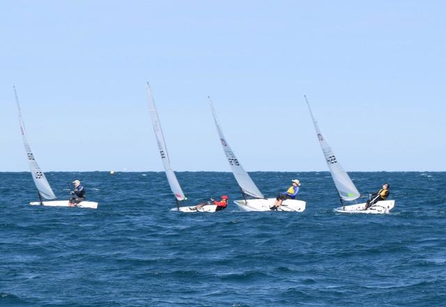 RS Aeros sailing off of the Palm Beach Sailing Club photo copyright Paul Gingras taken at  and featuring the  class