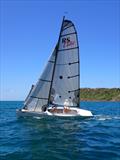 RS Elite at Antigua Sailing Week