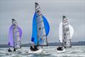 RS Elite Irish Championship 2025 at Waterford Harbour Sailing Club © @evelynmcnamaraphotography