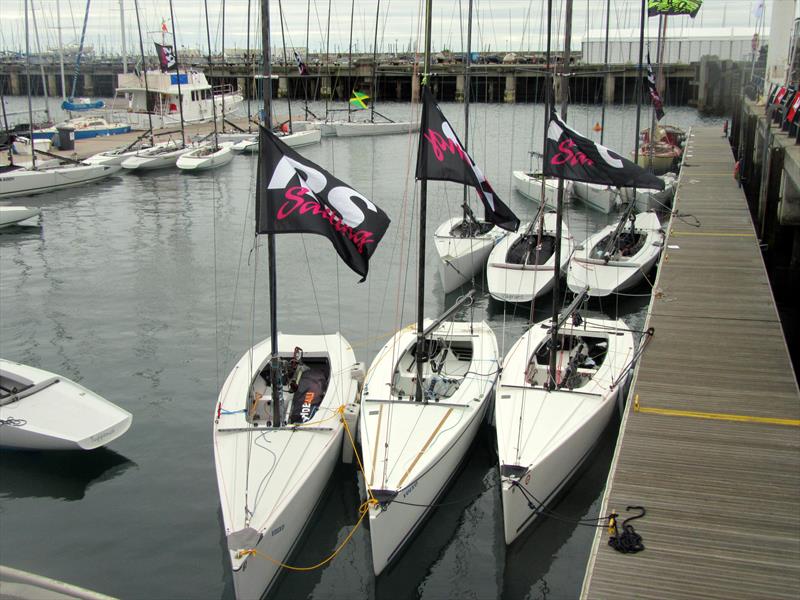 RS Elite National Championship at the Volvo Dun Laoghaire Regatta photo copyright Paul Fisk taken at Dun Laoghaire Motor Yacht Club and featuring the RS Elite class