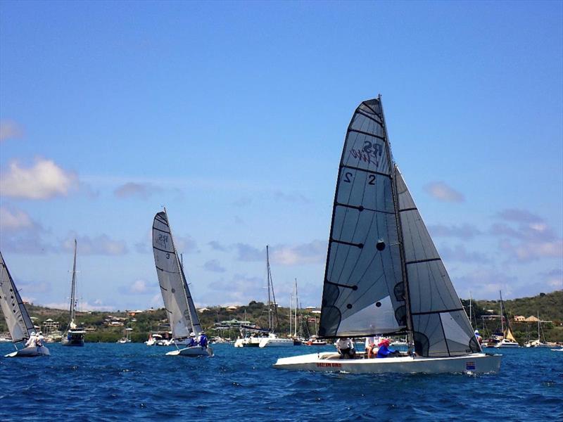 One Design Racing - RS Elites racing at Antigua Sailing Week last year - Antigua Sailing Week 2024 - photo © Anna Black