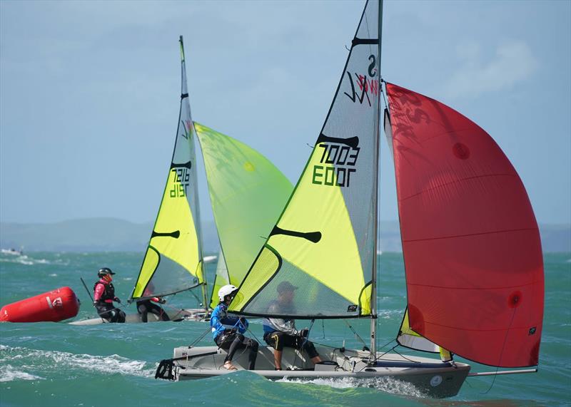 Day 2, RS Feva New Zealand Nationals, Torbay Sailing Club - March 31, 2019 photo copyright Denis Garner taken at Torbay Sailing Club and featuring the RS Feva class