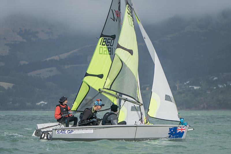 RS Fevas racing in the SailGP Inspire program - Lyttelton - March 23, 2024 photo copyright Justin Mitchell taken at Naval Point Club Lyttelton and featuring the RS Feva class