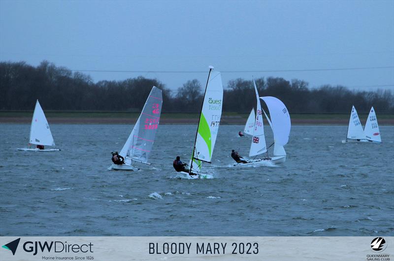 GJW Direct Bloody Mary 2023 photo copyright Mark Jardine taken at Queen Mary Sailing Club and featuring the RS Quest class